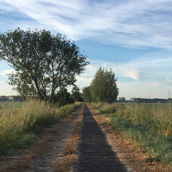 Een wandeling in de morgen