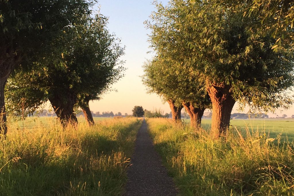 Een wandeling in de morgen